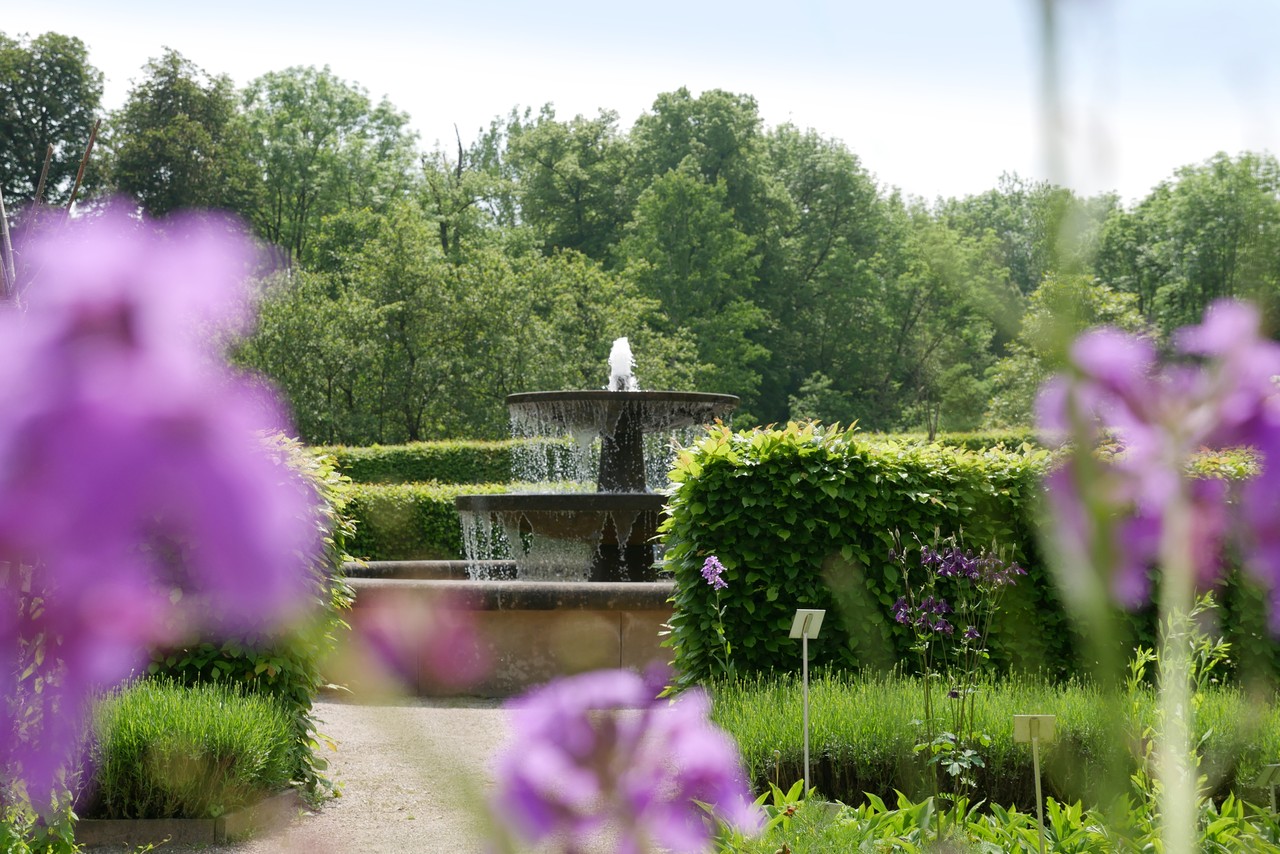 Zwischen Hecken und Blumen steht ein Springbrunnen.