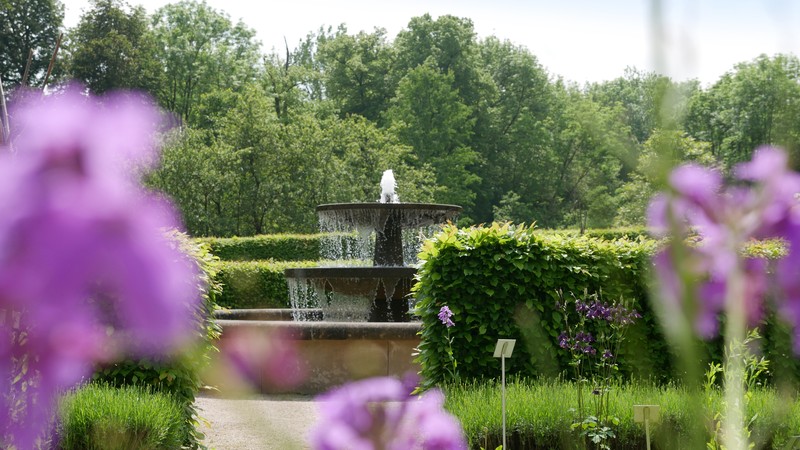 Zwischen Hecken und Blumen steht ein Springbrunnen.